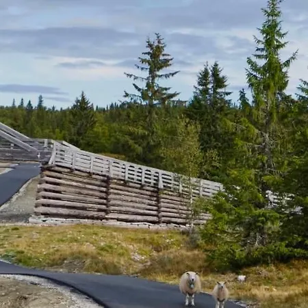 Koslig Med In Og Out Feriehus Sør-Fron